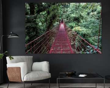 Monteverde Bridge by Aad Clemens