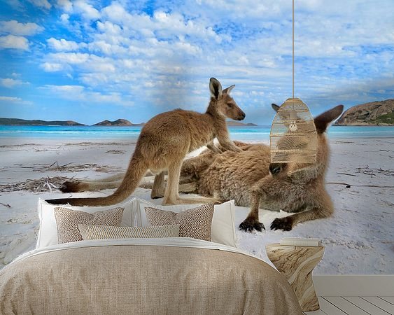 Voorbeeld van het werk in een kamer