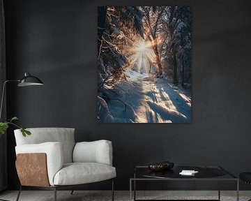 Promenade hivernale