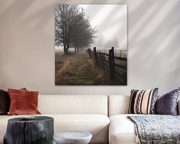 Herbstspaziergang im Nebel