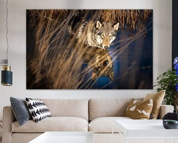 Poster Canvas met een Wolf of hond? van Het Boshuis