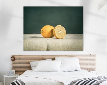 still life of dried lemon by Mariska Vereijken