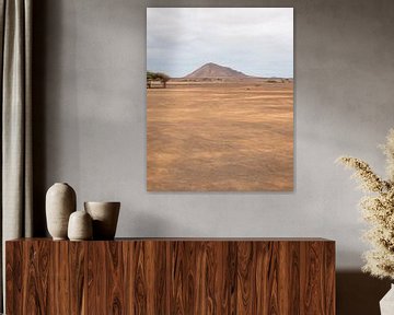 The desert in Sal, Cape Verde by Dayenne van Peperstraten