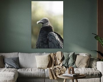 Majesté du silence - Le vautour en contemplation sur Femke Ketelaar