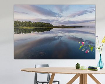 Ochtend bij de Schaalsee in Seedorf met wolken en weerspiegeling