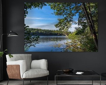 Vue sur le lac avec des arbres au Pipersee près de Salem sur Rico Ködder