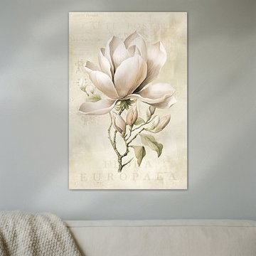 Magnolia Spring Romance Pastel Beige III by Andrea Haase