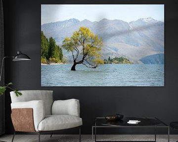 Cet arbre de Wanaka&quot ; sur Richard Wareham