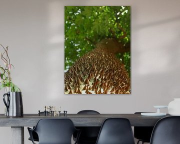 Life is full of stimuli