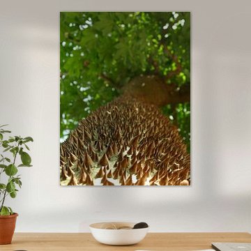 Das Leben ist voll von Reizen