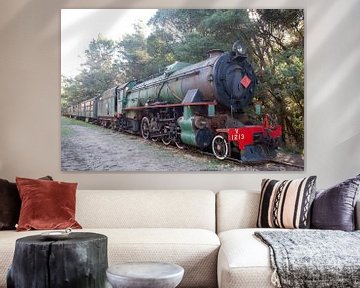 V Class 1213, V Class 2-8-2 Mikado type Steam Locomotive by Richard Wareham