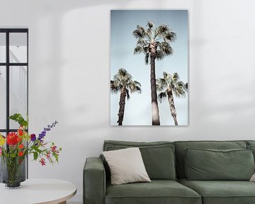 Palmbomen: prachtige parels van de natuur van Fotografia Elegante