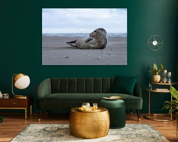 Zeehond op strand De Hors Texel van Ronald Timmer