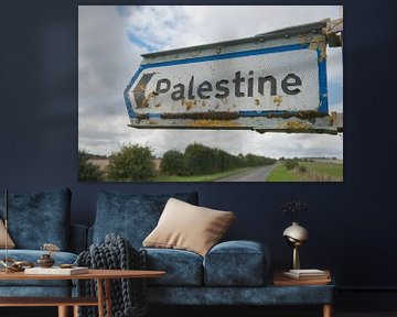 Palestine Hamsphire by Richard Wareham