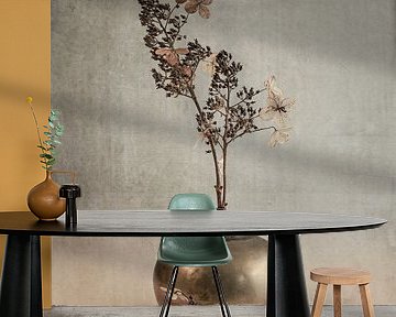 Hydrangea. Soft pride. Grey. by Alie Ekkelenkamp