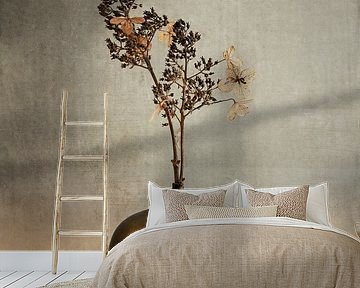 Hydrangea pride. Taupe. by Alie Ekkelenkamp