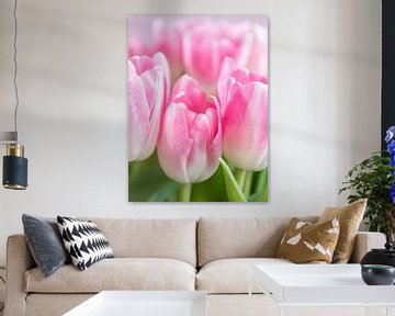 Neon pastel roze tulpen in de lente art print - frisse natuurfotografie. van Christa Stroo fotografie