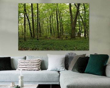 A deciduous forest in summer by Claude Laprise