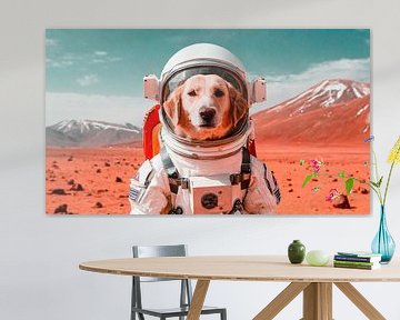 Hund Auf den Mars von Mustafa Kurnaz