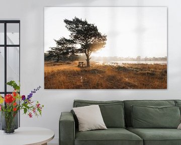 Strijbeekse heide zonsopgang van Jeanine Verbraak