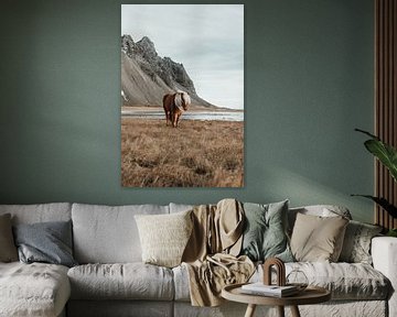 Icelandic horse at Vestrahorn by Jeanine Verbraak