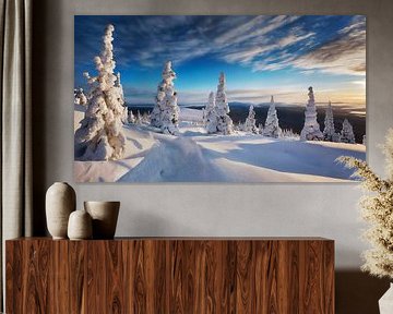 Paysage hivernal avec neige