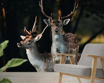 Fallow deer portrait by Jeanine Verbraak