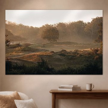 Amsterdam approvisionnement en eau dunes lumière du matin