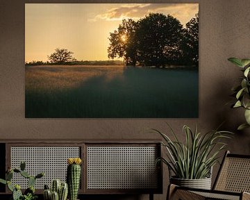 Paysage coucher de soleil