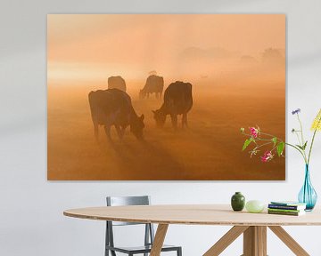 Kühe im Morgenlicht von Jitske Van der gaast