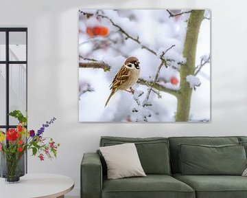 Nahaufnahme von einem Feldspatz auf einem schneebecketen Baum von ManfredFotos