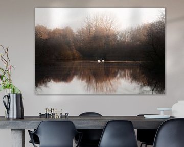 Het zwanenmeer | landschapsfotografie | witte zwanen | fotobehang van Laura Dijkslag