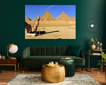 Un chameau avec des pyramides en Égypte sur MADK