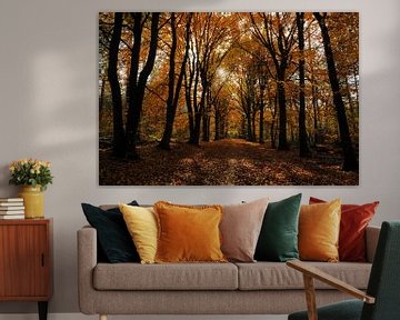Autumn in the forest by Gonnie van de Schans