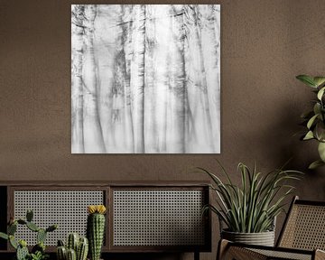 Ein Winterfoto von einer nebligen Waldlandschaft in Schwarz und Weiß von Imaginative