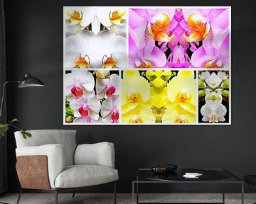 Orchideen-Muster Collage 2 von Dorothy Berry-Lound