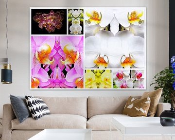 Orchideen-Muster Collage 1 von Dorothy Berry-Lound