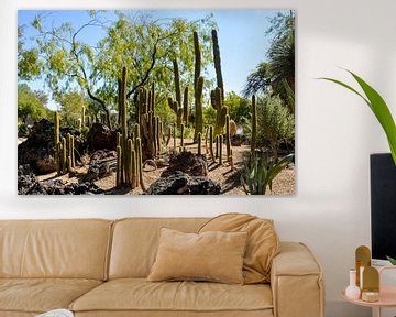 Cactustuin, Henderson van GH Foto & Artdesign