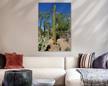 Cactus Garden, Henderson by GH Foto & Artdesign