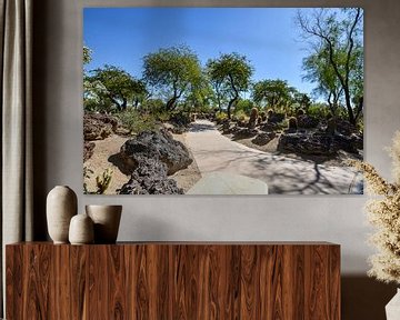 Cactustuin, Henderson, Nevada, VS van GH Foto & Artdesign