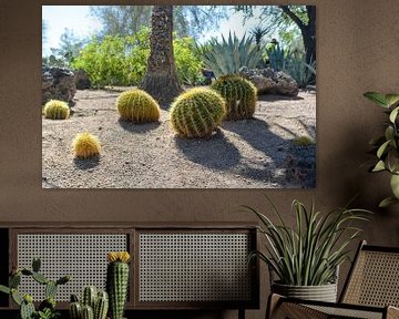 Cactustuin, Henderson, Nevada, VS van GH Foto & Artdesign