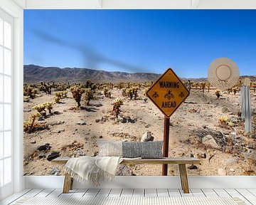 Nationaal park Joshua Tree