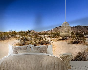 Joshua Tree National Park by GH Foto & Artdesign