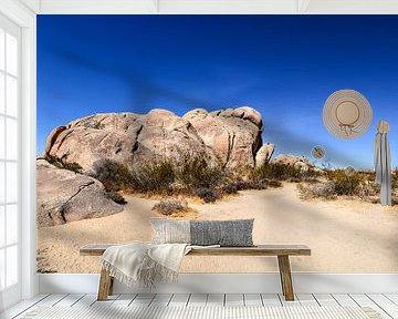 Joshua Tree National Park by GH Foto & Artdesign