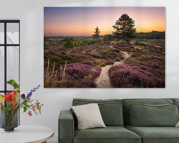 Heather auf Terschelling. von Marco Lok