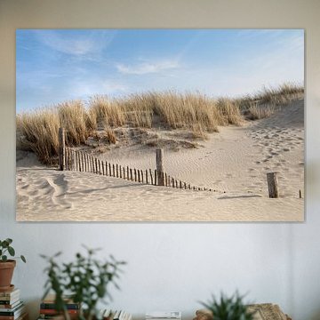 Blick auf die Dünen