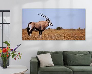 Oryx - Africa wildlife by W. Woyke