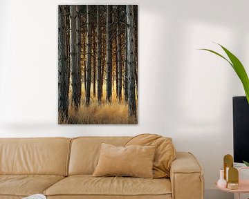 Promenade en forêt