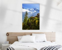 Aperçu de la chambre