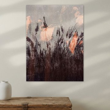 Waving reeds in the winter wind